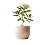 4月17日最新开奖结果公布与完整号码查询 5g8ih1