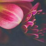 4线直播同步观看,精彩内容一网打尽 cao67ij78