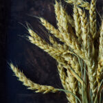 JRS直播怎么看?详细观看指南来了 1f3w2h