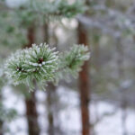 JRS手机直播吧:随时随地畅享高清体育赛事直播 gqjv9e