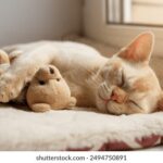 JRS直播极速体育直播360直播:畅享高清流畅赛事体验 p5ob9