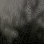 JRS海外直播:畅享全球赛事高清无延迟体验 pks9dmyi